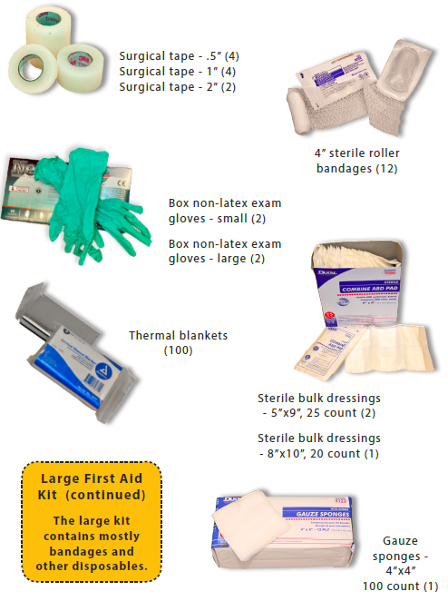 First Aid Kit Large P2.png